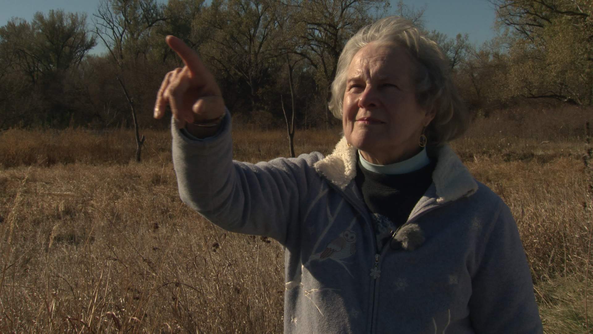 Nebraska Stories: The Grand Dame of Raptor Rehab and More, 1212 - Vimarsana News